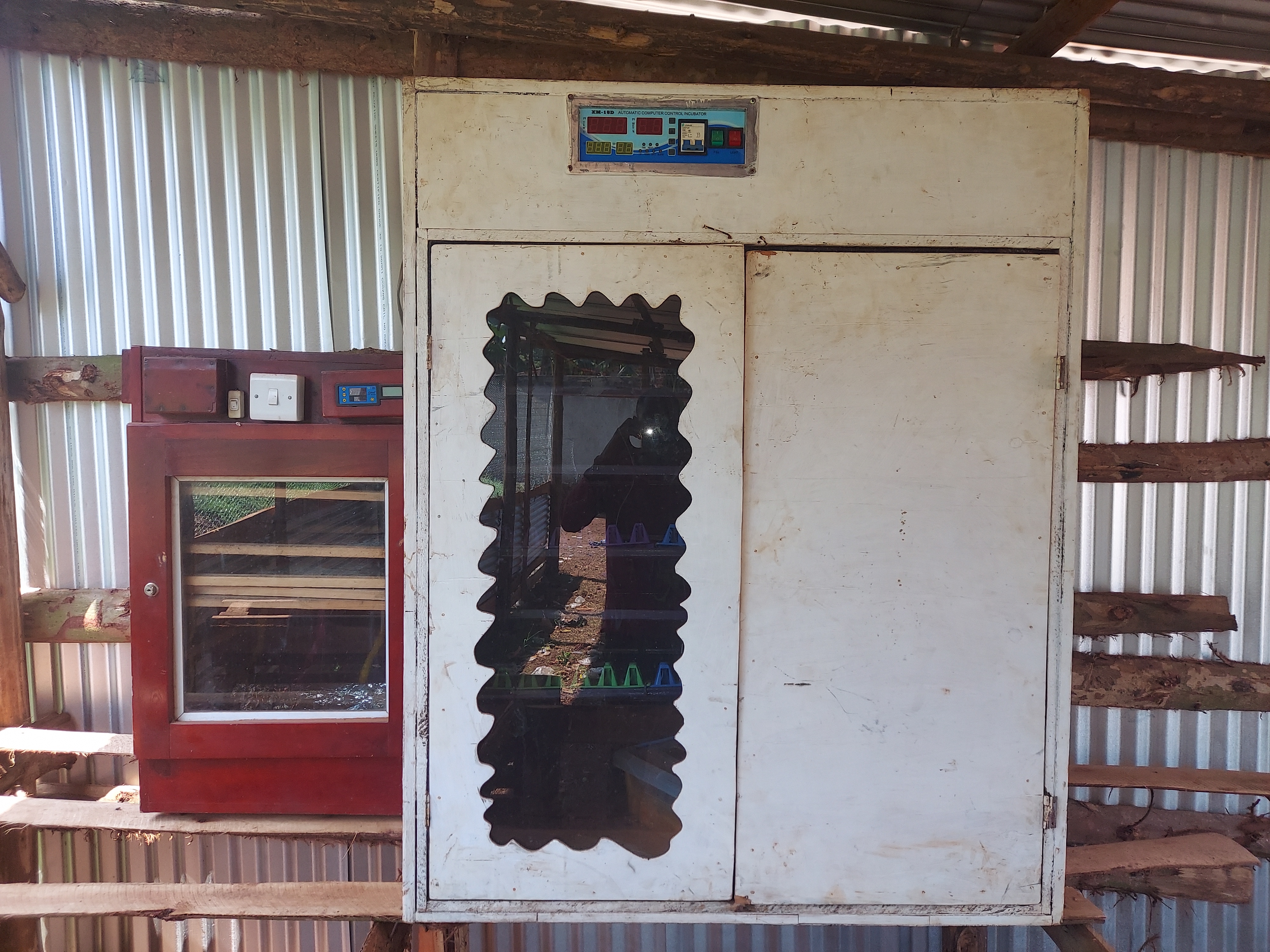 Poultry Hatchery and Integrated Farm Innovation